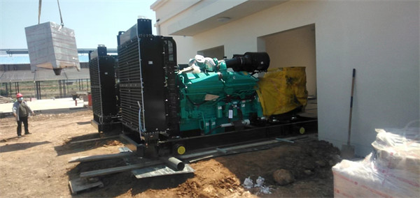 乳業(yè)公司兩臺(tái)800kw康明斯發(fā)電機(jī)組